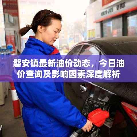 磐安镇最新油价动态，今日油价查询及影响因素深度解析