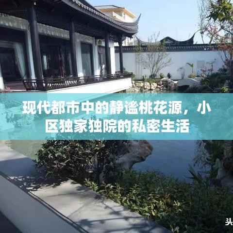 蛙鸣鼓吹 第3页