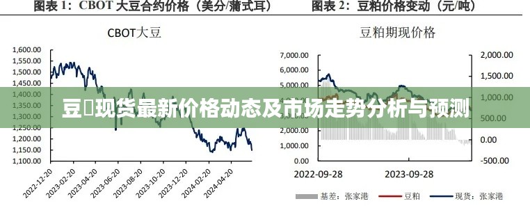豆粨现货最新价格动态及市场走势分析与预测