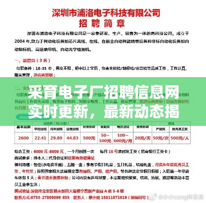 采育电子厂招聘信息网实时更新，最新动态揭秘