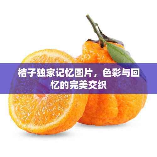 桔子独家记忆图片，色彩与回忆的完美交织