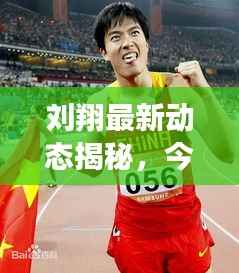 刘翔最新动态揭秘，今日头条独家报道！