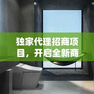 独家代理招商项目，开启全新商业篇章