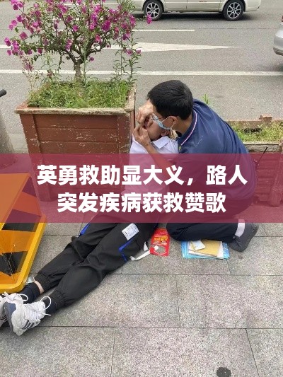 英勇救助显大义，路人突发疾病获救赞歌