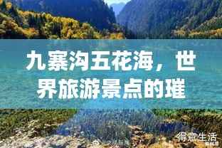 九寨沟五花海，世界旅游景点的璀璨明珠，惊艳你的视觉盛宴！