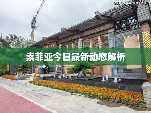 索菲亚今日最新动态解析