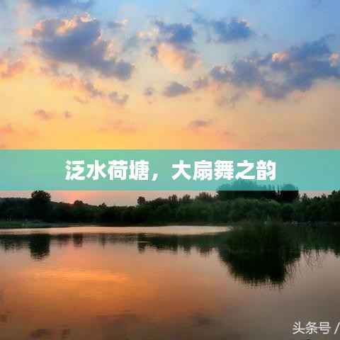 泛水荷塘，大扇舞之韵