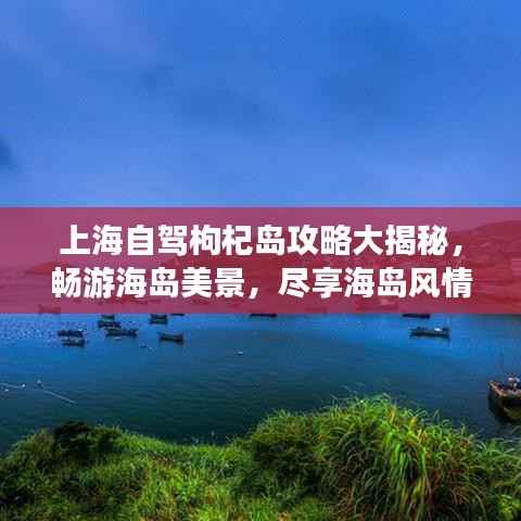 上海自驾枸杞岛攻略大揭秘，畅游海岛美景，尽享海岛风情！