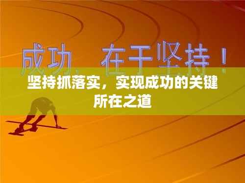 坚持抓落实，实现成功的关键所在之道