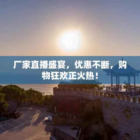 厂家直播盛宴，优惠不断，购物狂欢正火热！