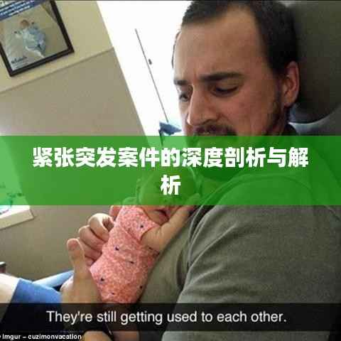 紧张突发案件的深度剖析与解析
