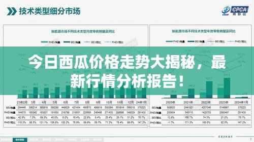 今日西瓜价格走势大揭秘，最新行情分析报告！