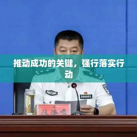 推动成功的关键，强行落实行动